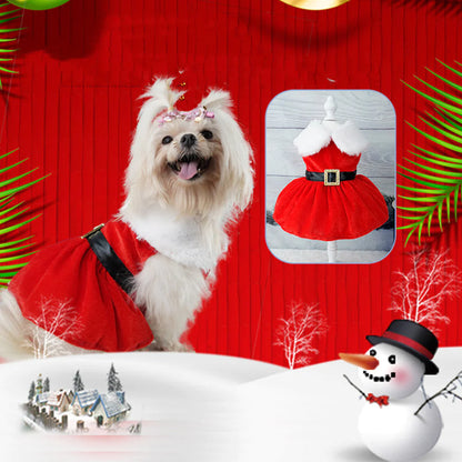 Christmas Pet Dress-Up Outfit