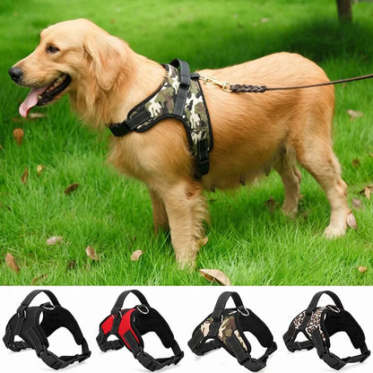 Dog Adjustable Collar & Harness