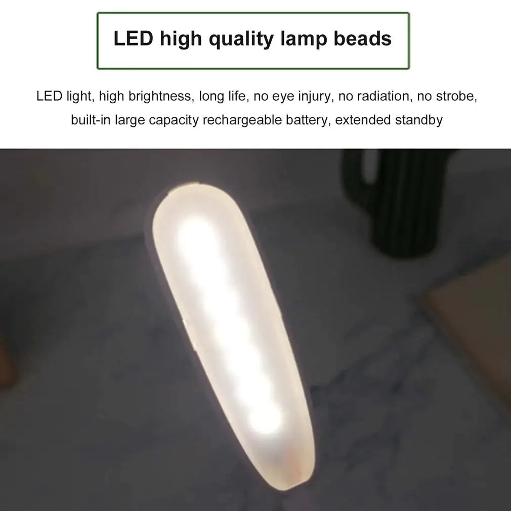 Cute LED Desk Lamp