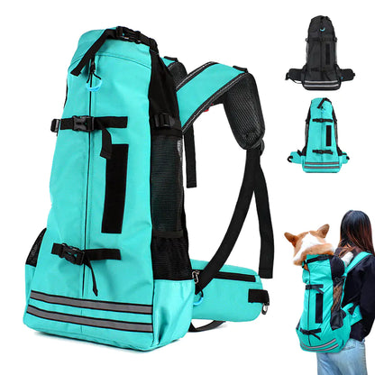 Dog Carrier & Backpack