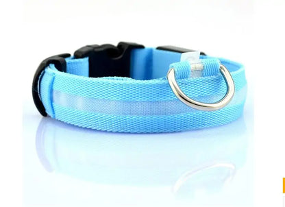 Nylon Leash & Collar with Glow-in-the-Dark Safety Feature