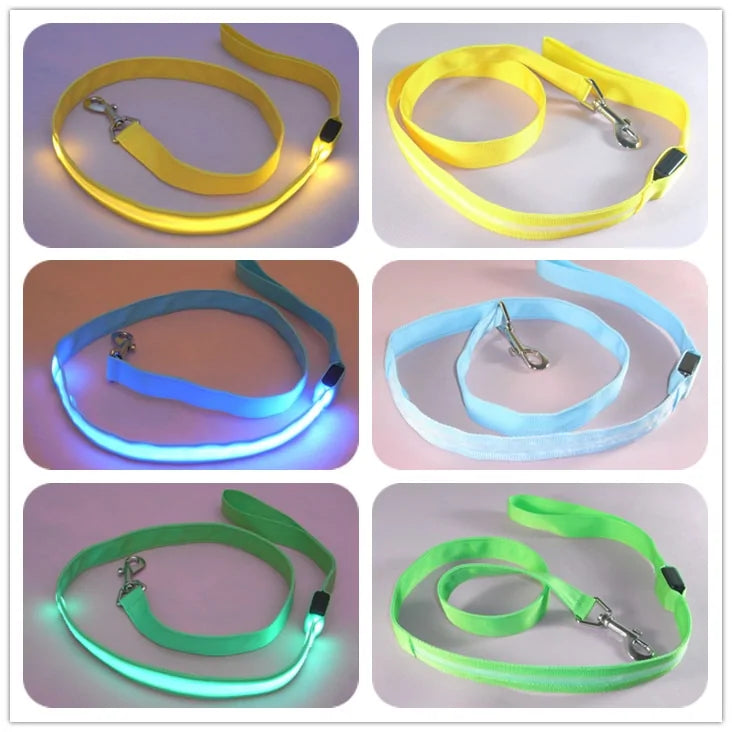 Glow In Dark Dog Leash (various colors)