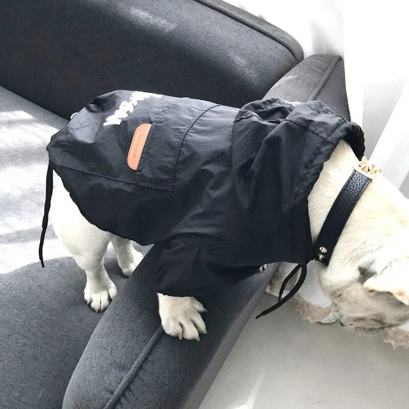 Small Stylish Dog Jackets