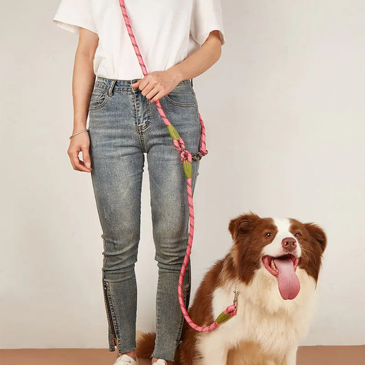 Reflective Nylon Dog Leash