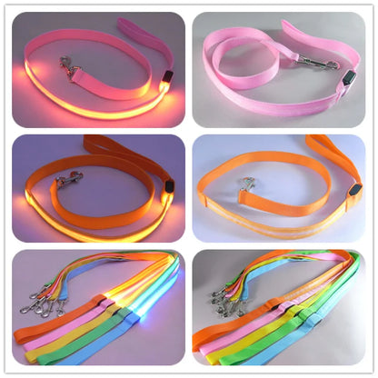 Glow In Dark Dog Leash (various colors)