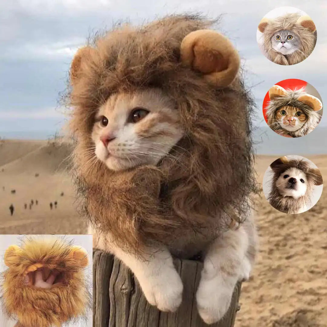 Lion Mane Cat Costume (3 shades)