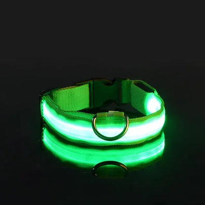 Flashing Glow LED Dog Collar (USB)