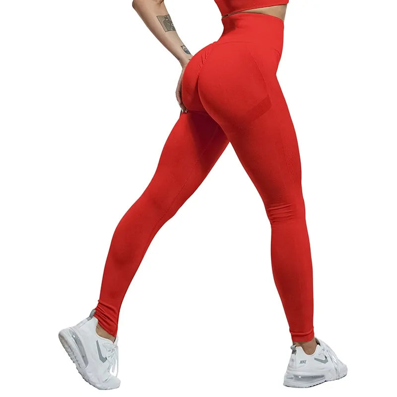 High Waist Fitness Shorts & Leggings (many variants)