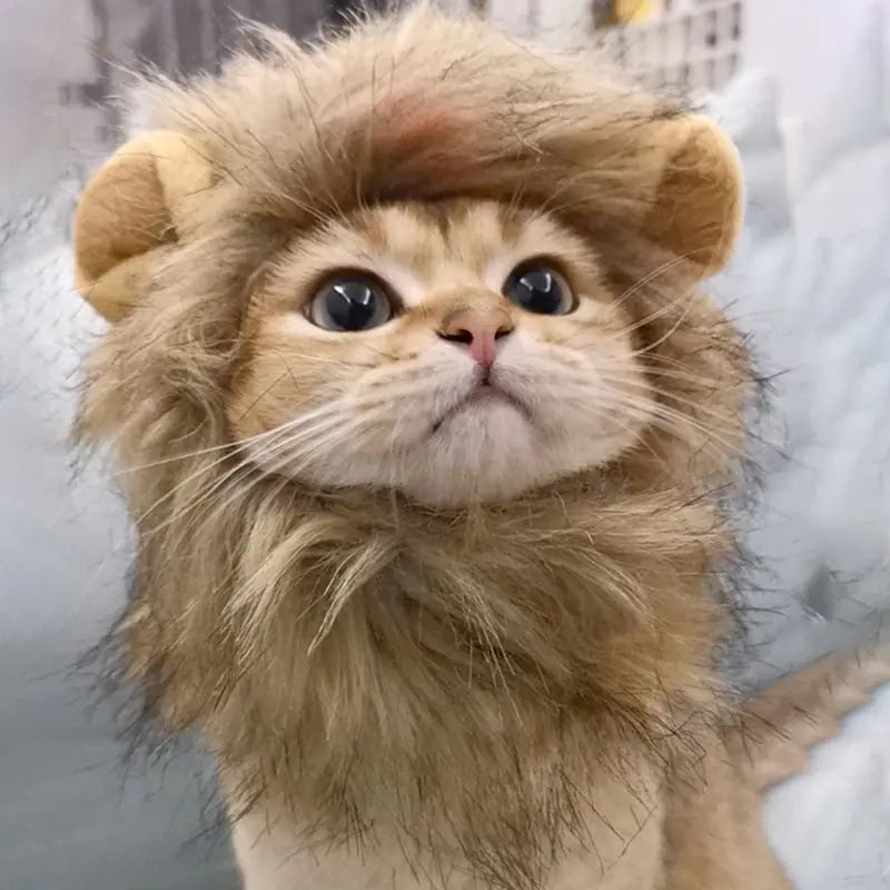 Lion Mane Cat Costume (3 shades)