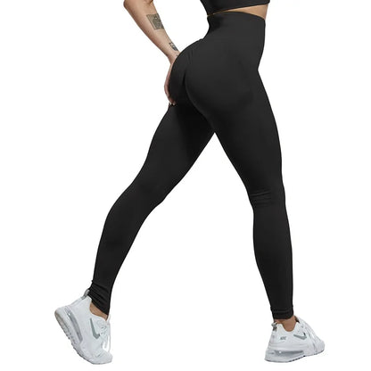 High Waist Fitness Shorts & Leggings (many variants)