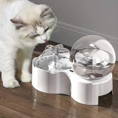 Cat and Dog Automated Fountain