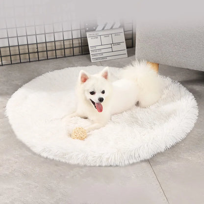 Round Dog Bed (various colors)