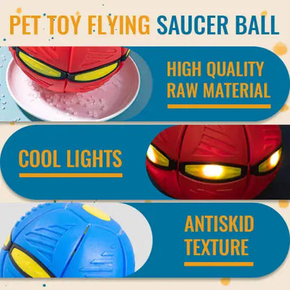 Pet Flying Saucer Ball