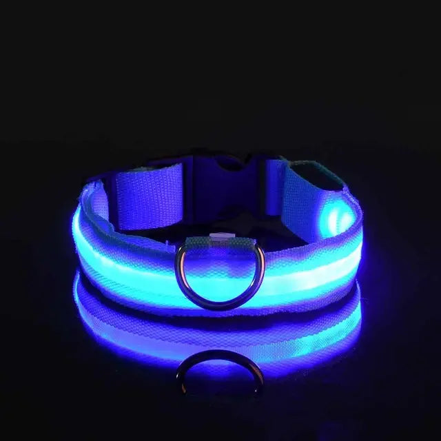 Flashing Glow LED Dog Collar (USB)