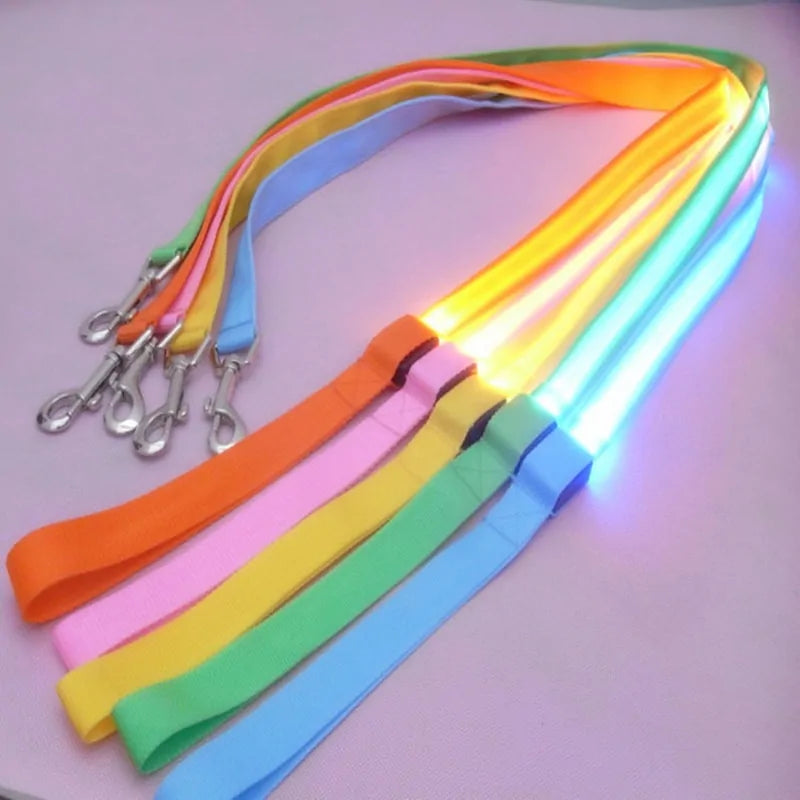 Glow In Dark Dog Leash (various colors)