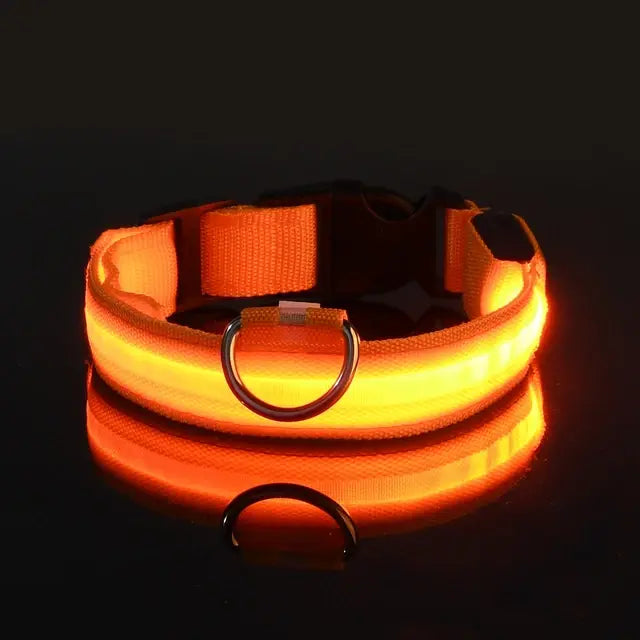 Flashing Glow LED Dog Collar (USB)