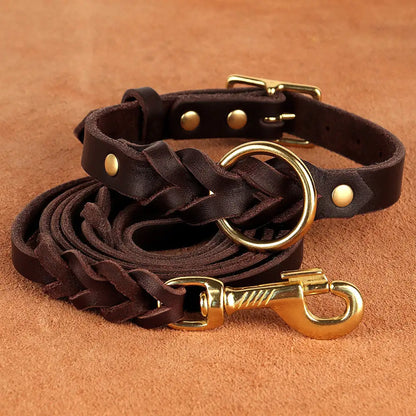 Collar and Leash Set (M>L Dogs)