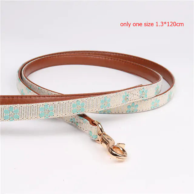 Cute Pet Collars & Leashes