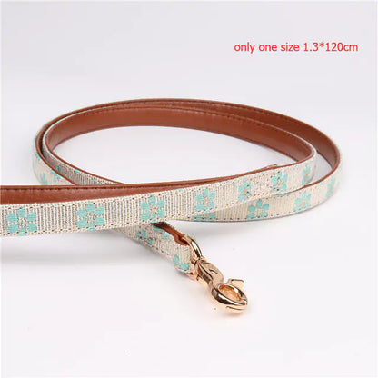 Cute Pet Collars & Leashes