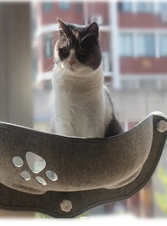 Cat Window Hammock