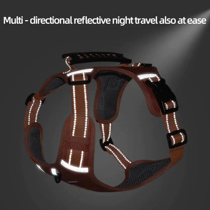 Reflectride Collar with Harness