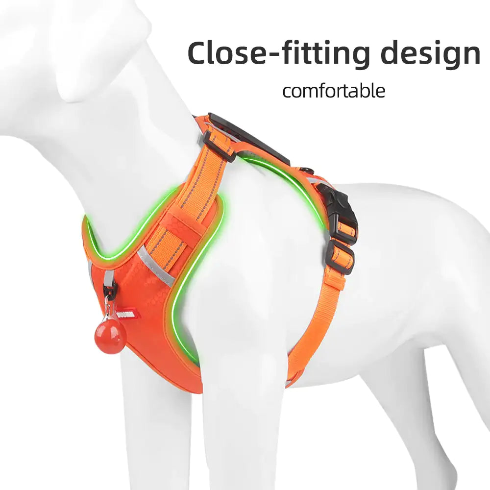 Reflectride Collar with Harness