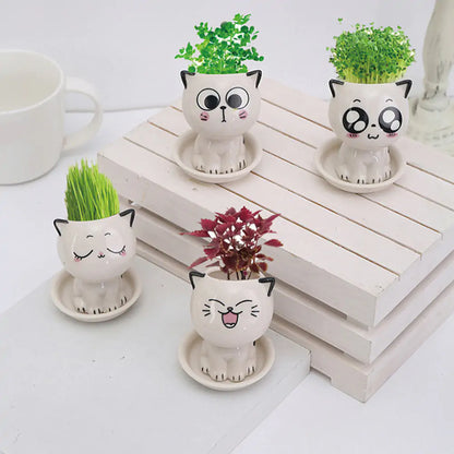 Mini Cartoon Cat Ceramic Flowerpot