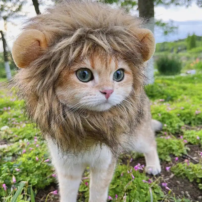 Lion Mane Cat Costume (3 shades)