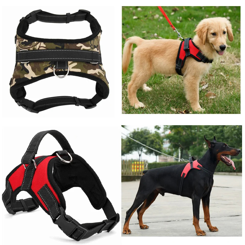 Dog Adjustable Collar & Harness