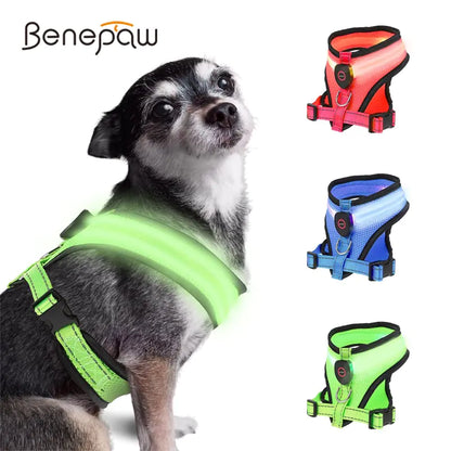 LED Lighted USB Dog Harness (various colors)