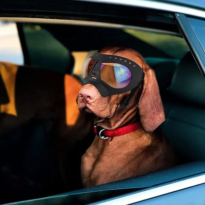 Windproof Sunglasses & Summer Goggles Dog Eye Protection