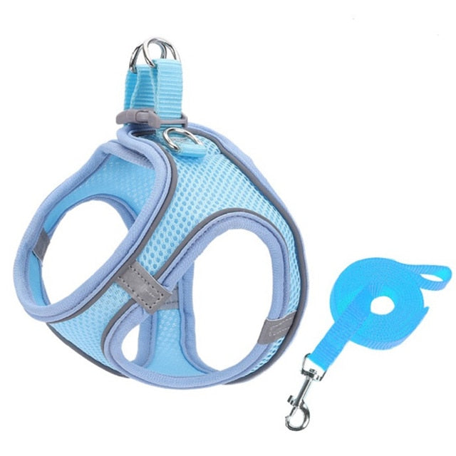 Escape Proof Small Pet Harness Leash Set