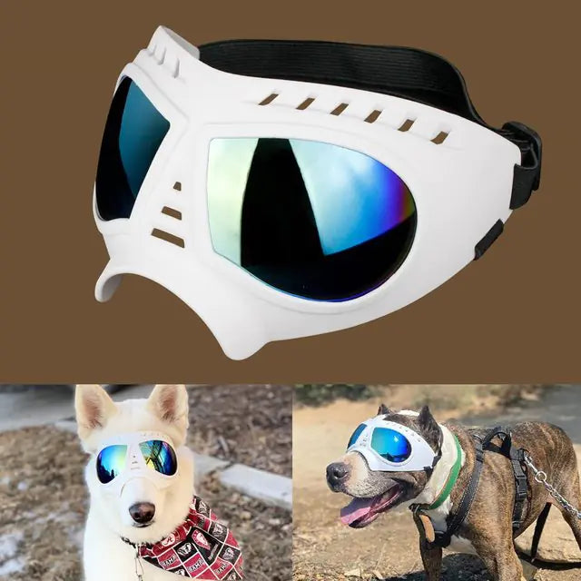 Windproof Sunglasses & Summer Goggles Dog Eye Protection