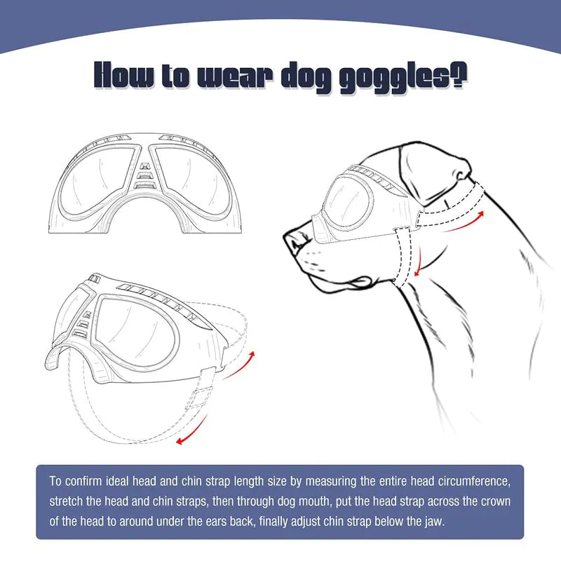 Windproof Sunglasses & Summer Goggles Dog Eye Protection