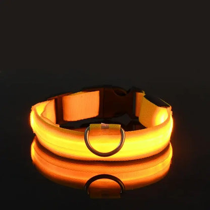 Flashing Glow LED Dog Collar (USB)