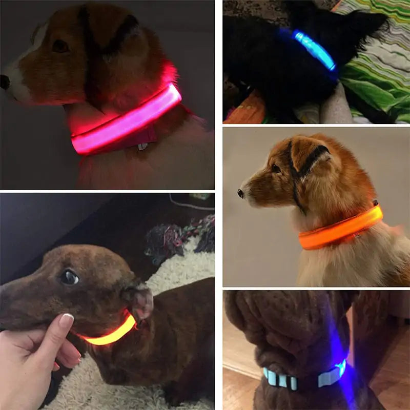 Adjustable Glowing LED Pet Collar