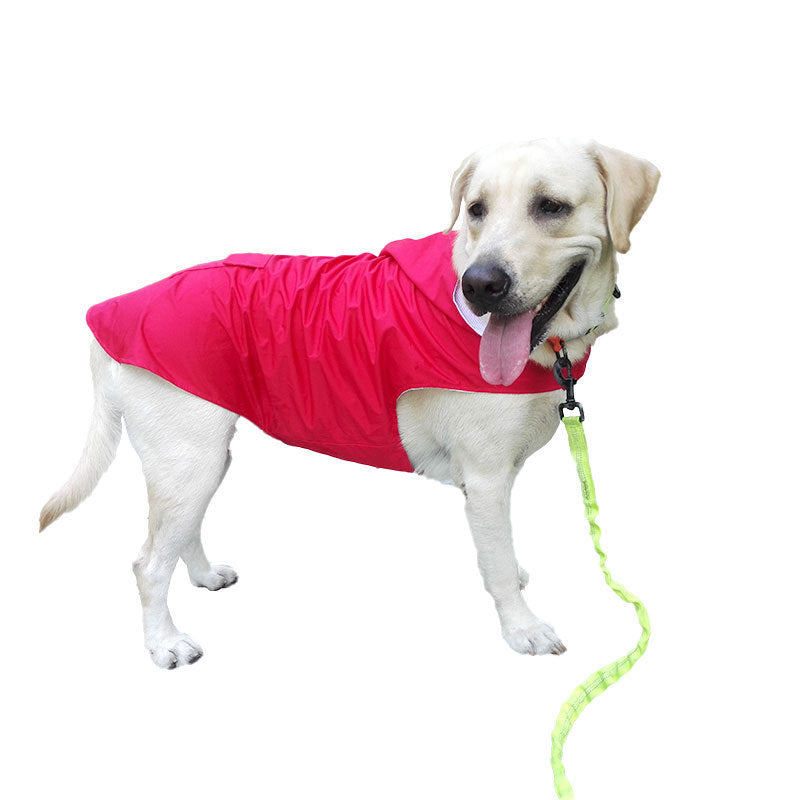 Doggie Raincoat