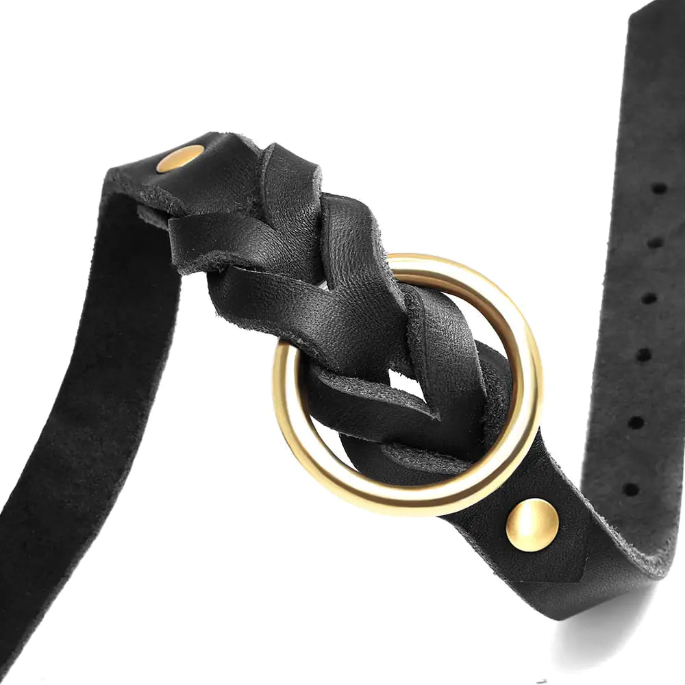 Collar and Leash Set (M>L Dogs)