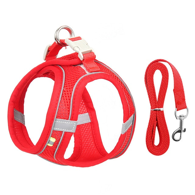 Harness Leash Set for Small Dogs