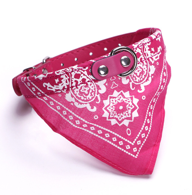 Small Pet Collar with Adjustable Leather Scarf (many colors)