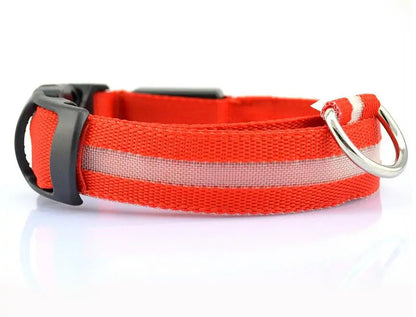 Nylon Leash & Collar with Glow-in-the-Dark Safety Feature