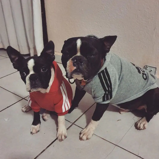 Dog Sport Hoodies (various styles)