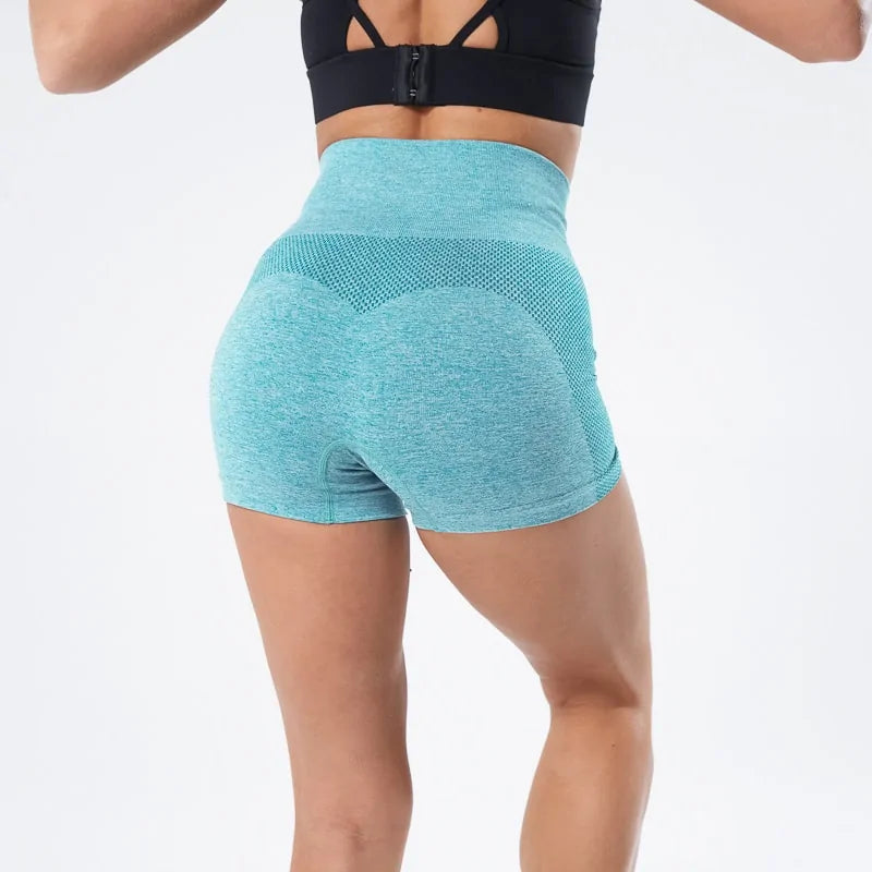 Women's High Waist Seamless Running Shorts (5 colors)