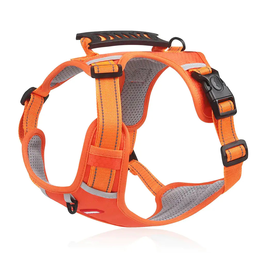 Reflectride Collar with Harness