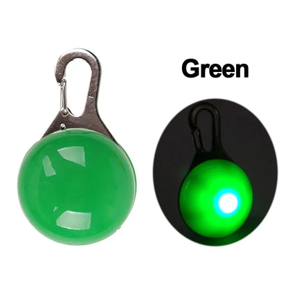 Nylon Leash & Collar with Glow-in-the-Dark Safety Feature