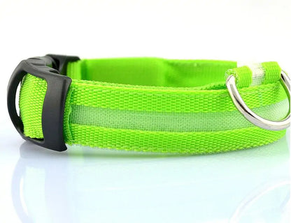 Nylon Leash & Collar with Glow-in-the-Dark Safety Feature