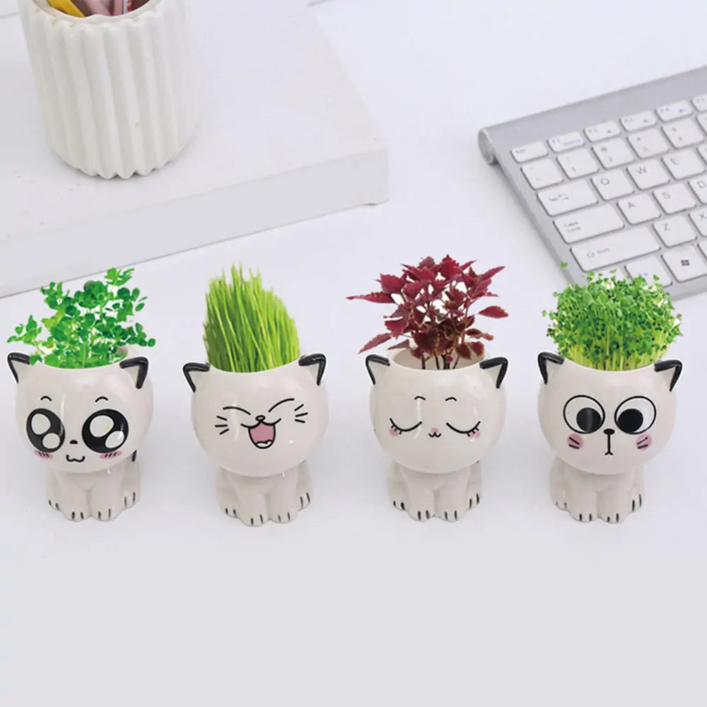 Mini Cartoon Cat Ceramic Flowerpot