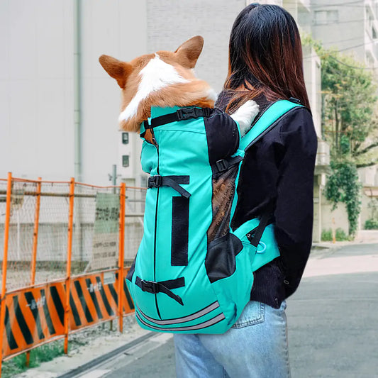 Dog Carrier & Backpack