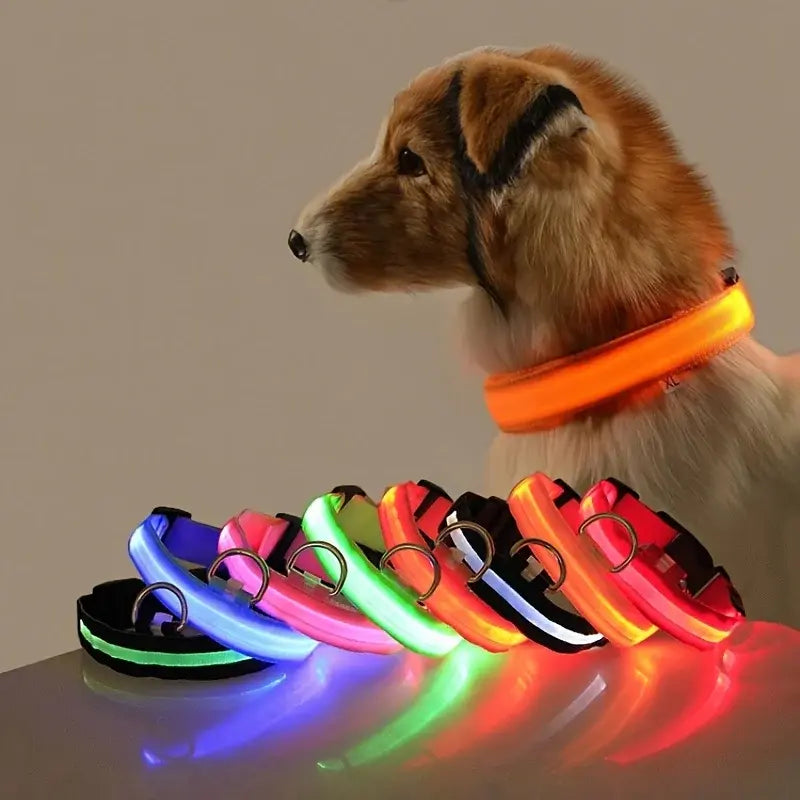 Flashing Glow LED Dog Collar (USB)