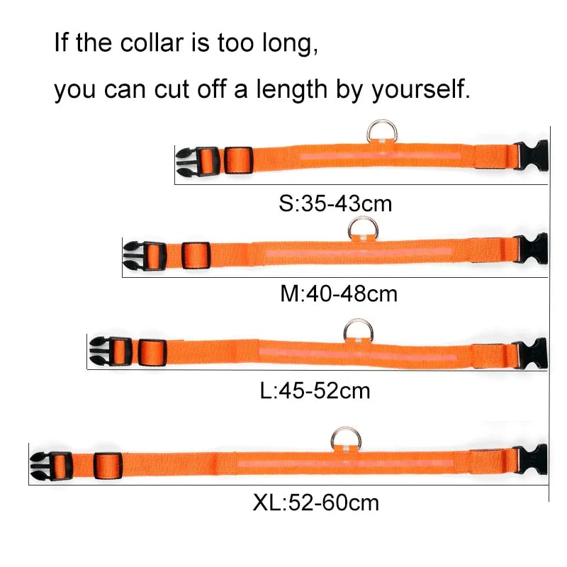 Nylon Leash & Collar with Glow-in-the-Dark Safety Feature